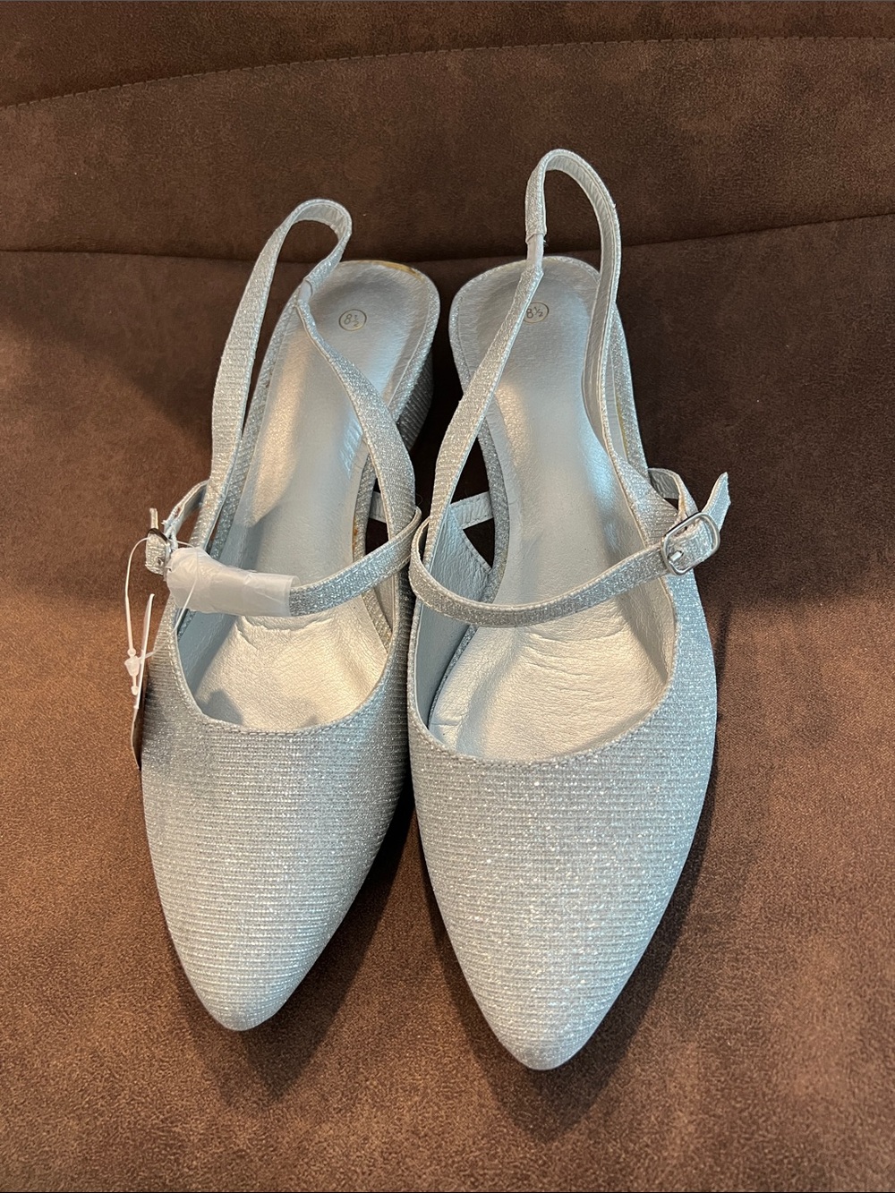 Silver Slingback Pointed Toe